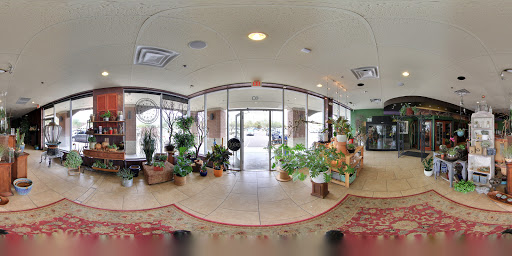 Florist «Foothills Floral Gallery», reviews and photos, 4647 E Chandler Blvd # 10, Phoenix, AZ 85048, USA