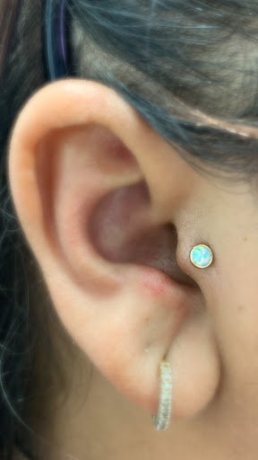 Explore bengals tattoo ideas, creative tattoo ideas in Sarasota, available at Z-Edge Tattoo and Body Piercing North Shop