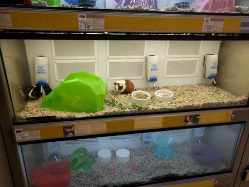 Pet Supply Store «Petco Animal Supplies», reviews and photos, 360 N Bedford Rd, Mt Kisco, NY 10549, USA