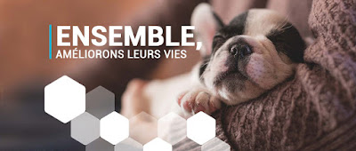 Clinique vétérinaire Univet Carqueiranne à Carqueiranne