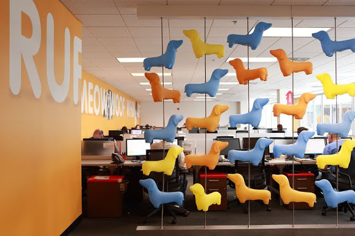 Insurance Agency «Petplan Pet Insurance - North America», reviews and photos