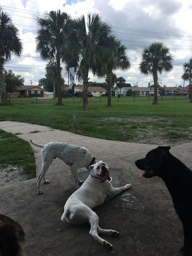 Dog Park «Apollo Beach Dog Park», reviews and photos, 664 Golf and Sea Blvd, Apollo Beach, FL 33572, USA