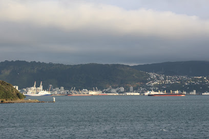 Bluebridge Cook Strait Ferries - Wellington