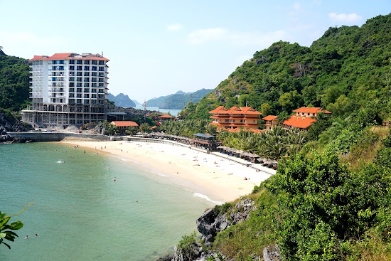 Cat Co 3 Beach