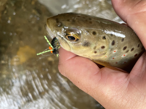 Fishing Store «Backwater Angler», reviews and photos, 107 Mt Carmel Rd #106, Parkton, MD 21120, USA