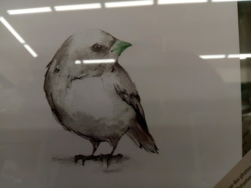 Craft Store «Michaels», reviews and photos, 880 FL-436 #1001, Altamonte Springs, FL 32714, USA