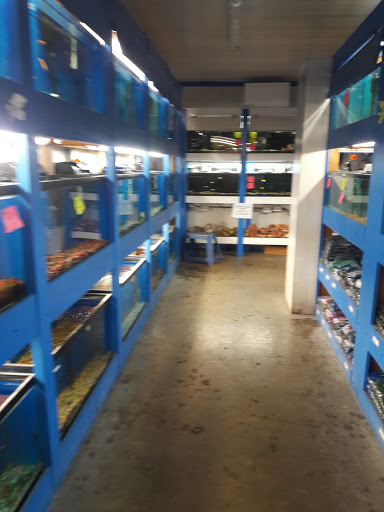 Pet Store «Pet World - Auburndale», reviews and photos, 3637 Havendale Blvd, Auburndale, FL 33823, USA