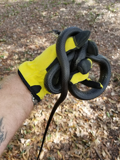 Pest Control Service «Critter Control», reviews and photos