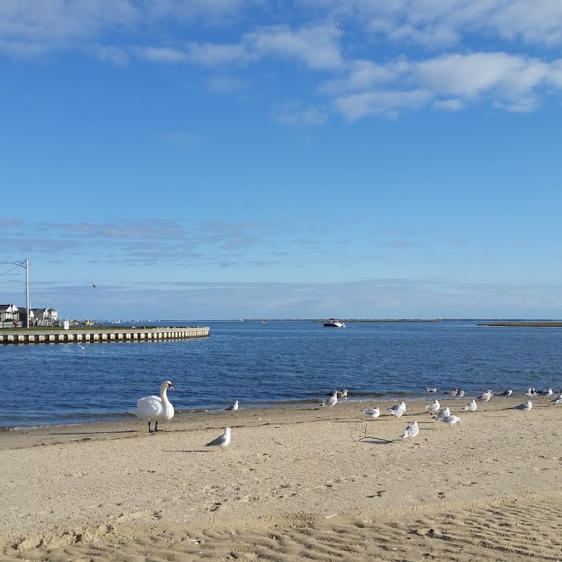 Philip B. Healey Beach at Florence Avenue