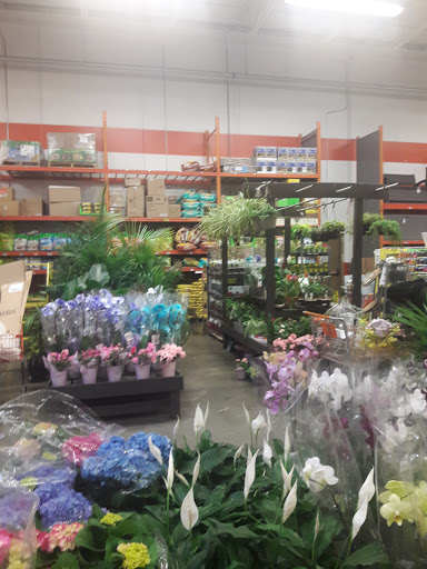 Home Improvement Store «The Home Depot», reviews and photos, 43 Hutton Ave, Nanuet, NY 10954, USA