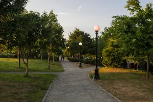 Cal Anderson Park image