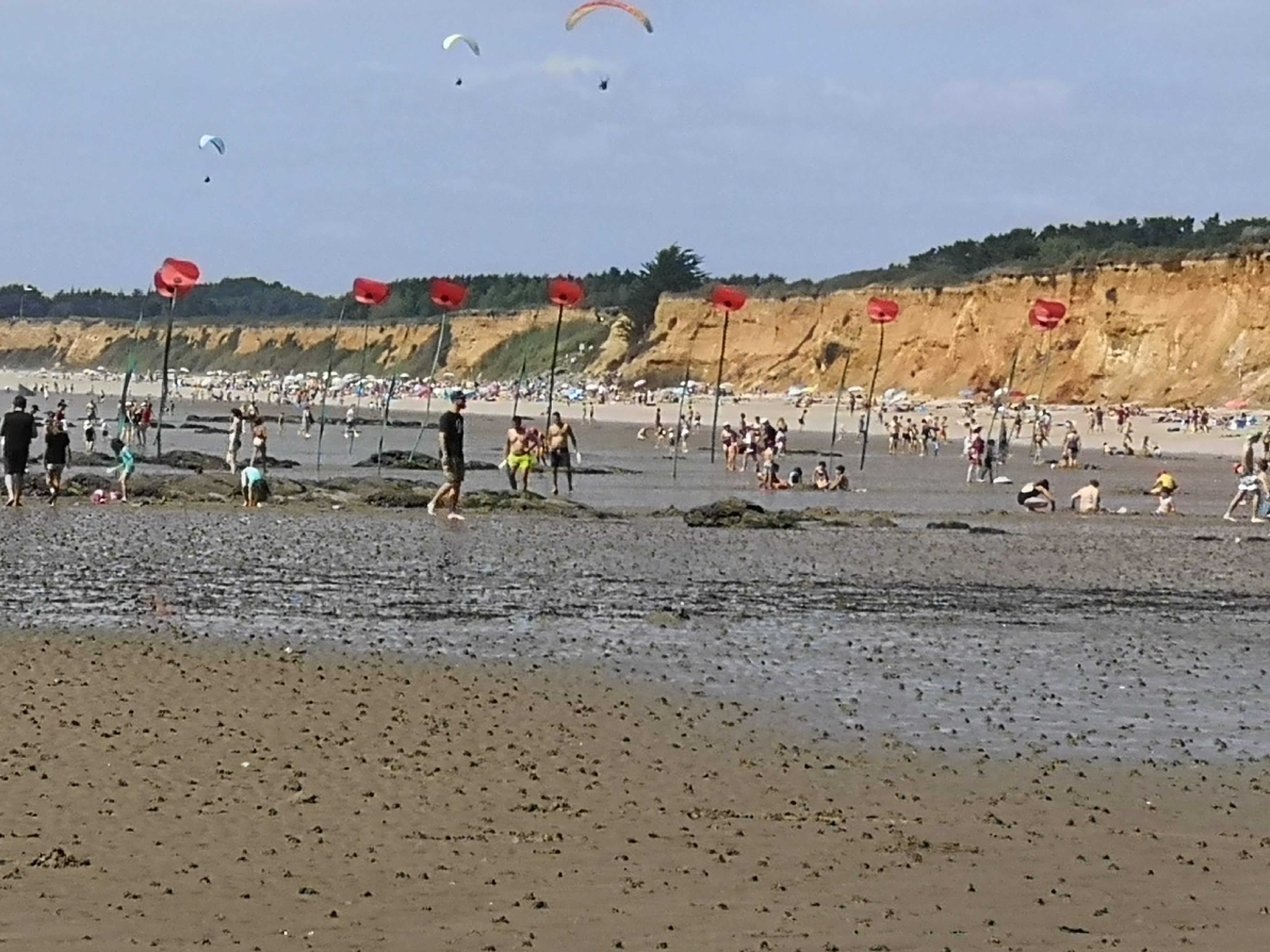 Photo n° 7 de l'avis de Nicky. fait le 17/08/2021 à 19:19