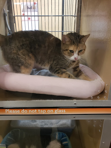 Pet Supply Store «PetSmart», reviews and photos, 13866 Metrotech Dr, Chantilly, VA 20151, USA