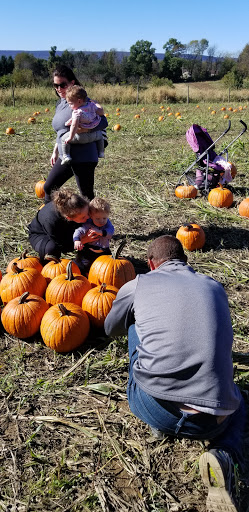 Produce Market «Race Farm», reviews and photos, 87 Belcher Rd, Blairstown, NJ 07825, USA