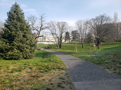 Vente campus à Lyon