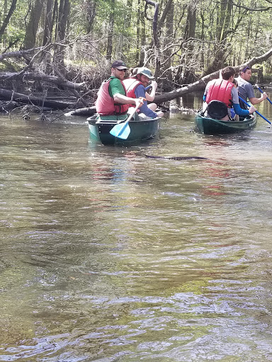 National Park «Congaree National Park», reviews and photos