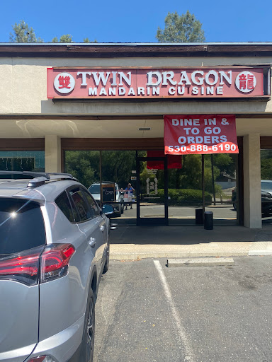 Twin Dragon image