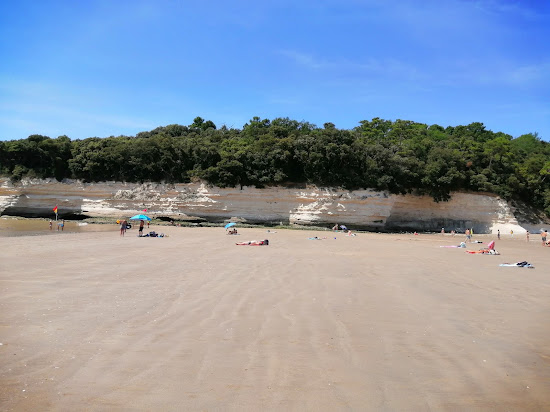 Plage de Suzac