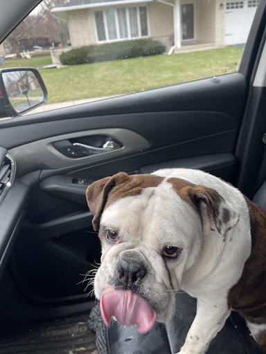 2427 Ridge Rd, Highland, IN 46322, USA