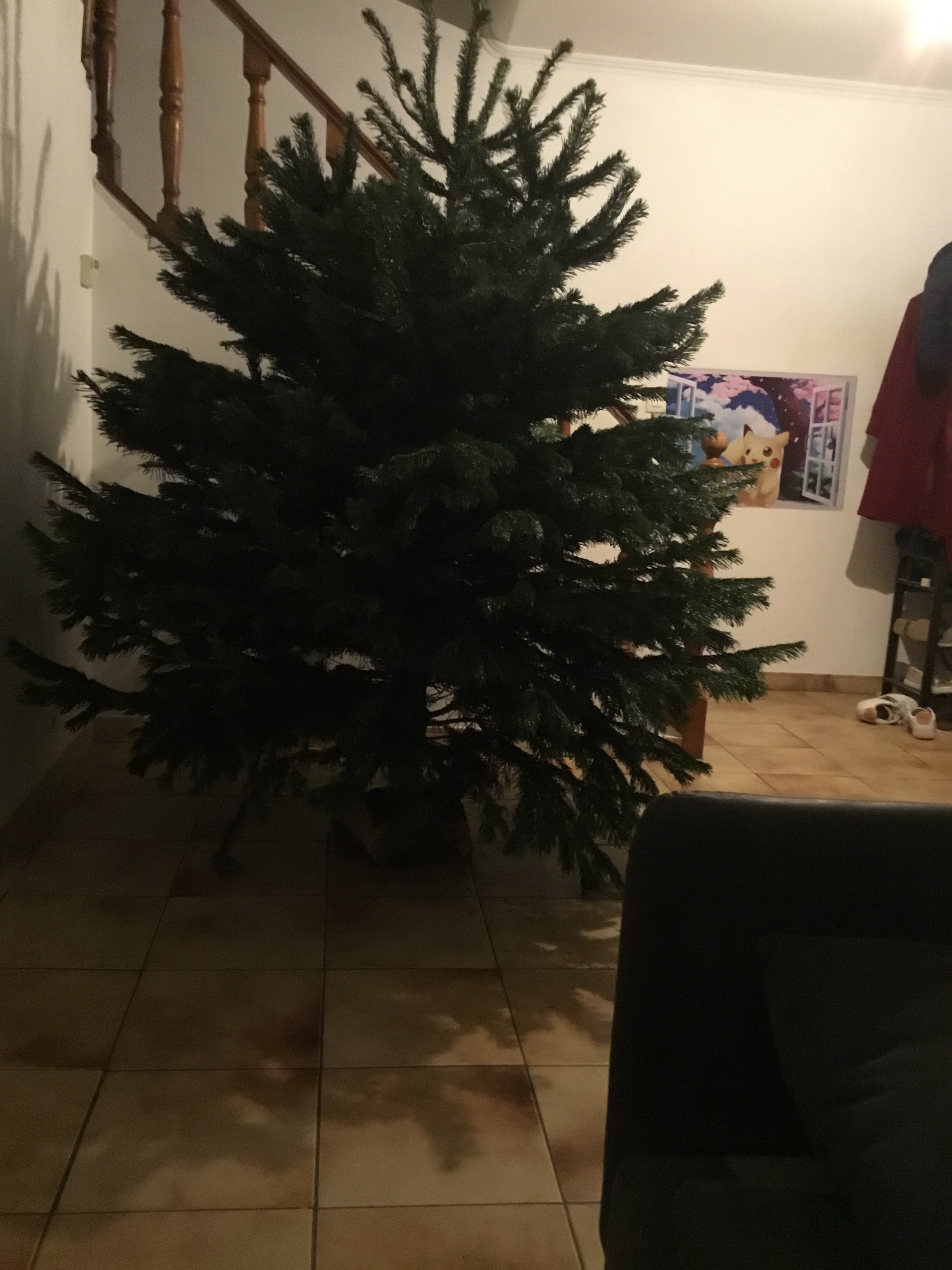 Photo n° 4 de l'avis de Vi. fait le 03/12/2022 à 07:32