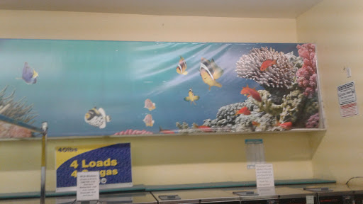 Laundromat «Laundromart North Fort Myers», reviews and photos, 216 Pondella Rd, North Fort Myers, FL 33903, USA