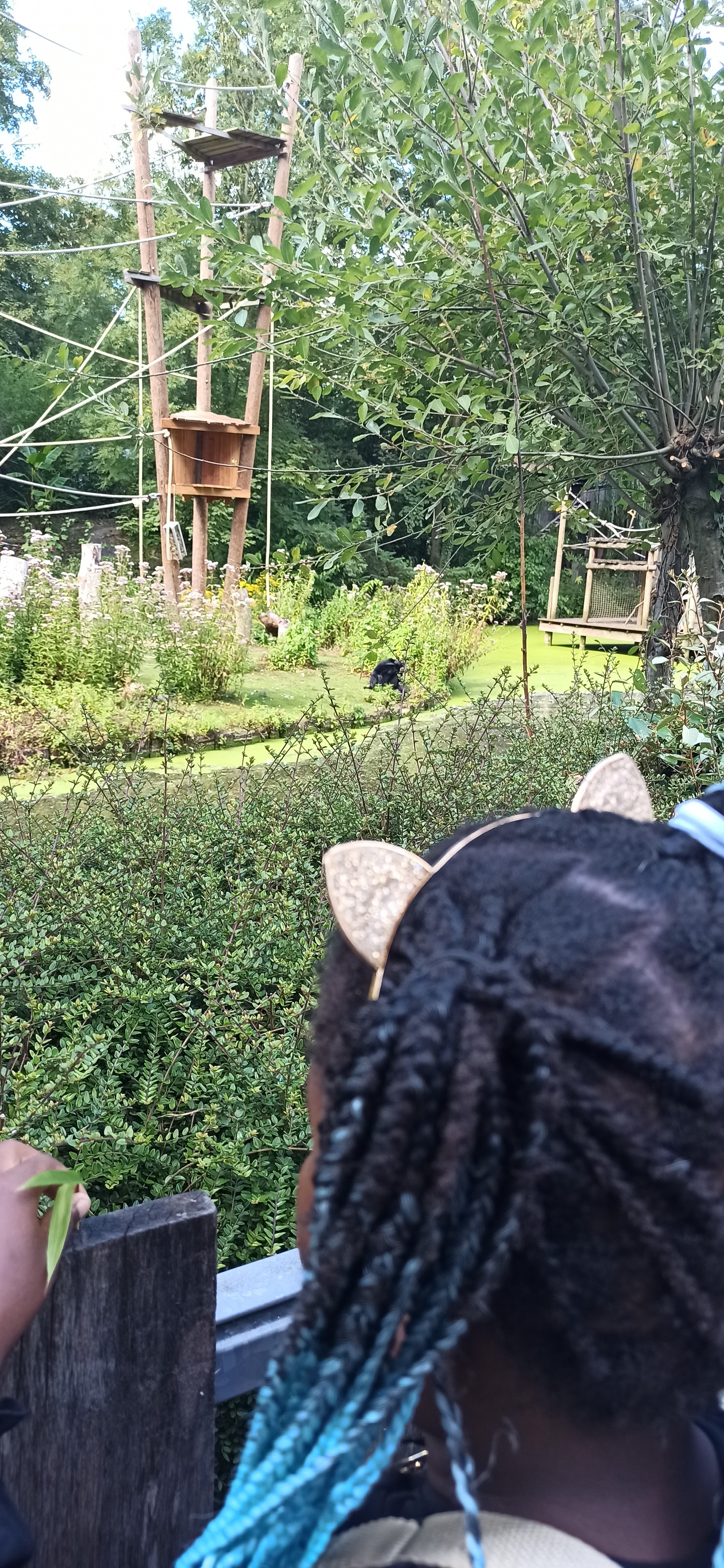 Photo n° 1 de l'avis de Patawin.e fait le 19/08/2023 à 08:38