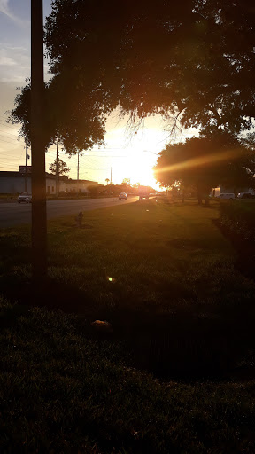 Moving and Storage Service «1776 Moving and Storage, Inc», reviews and photos, 4210 L B McLeod Rd #109, Orlando, FL 32811, USA