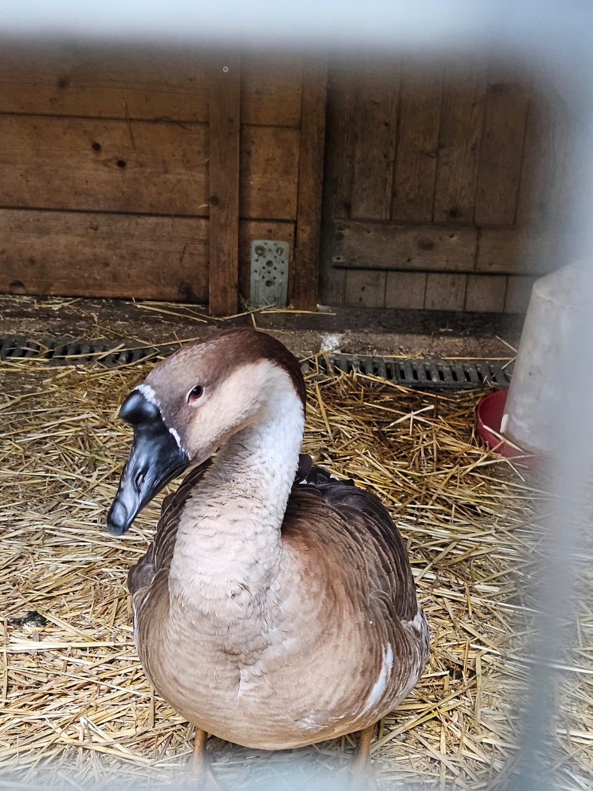 Photo n° 3 de l'avis de Chris. fait le 05/08/2023 à 05:18