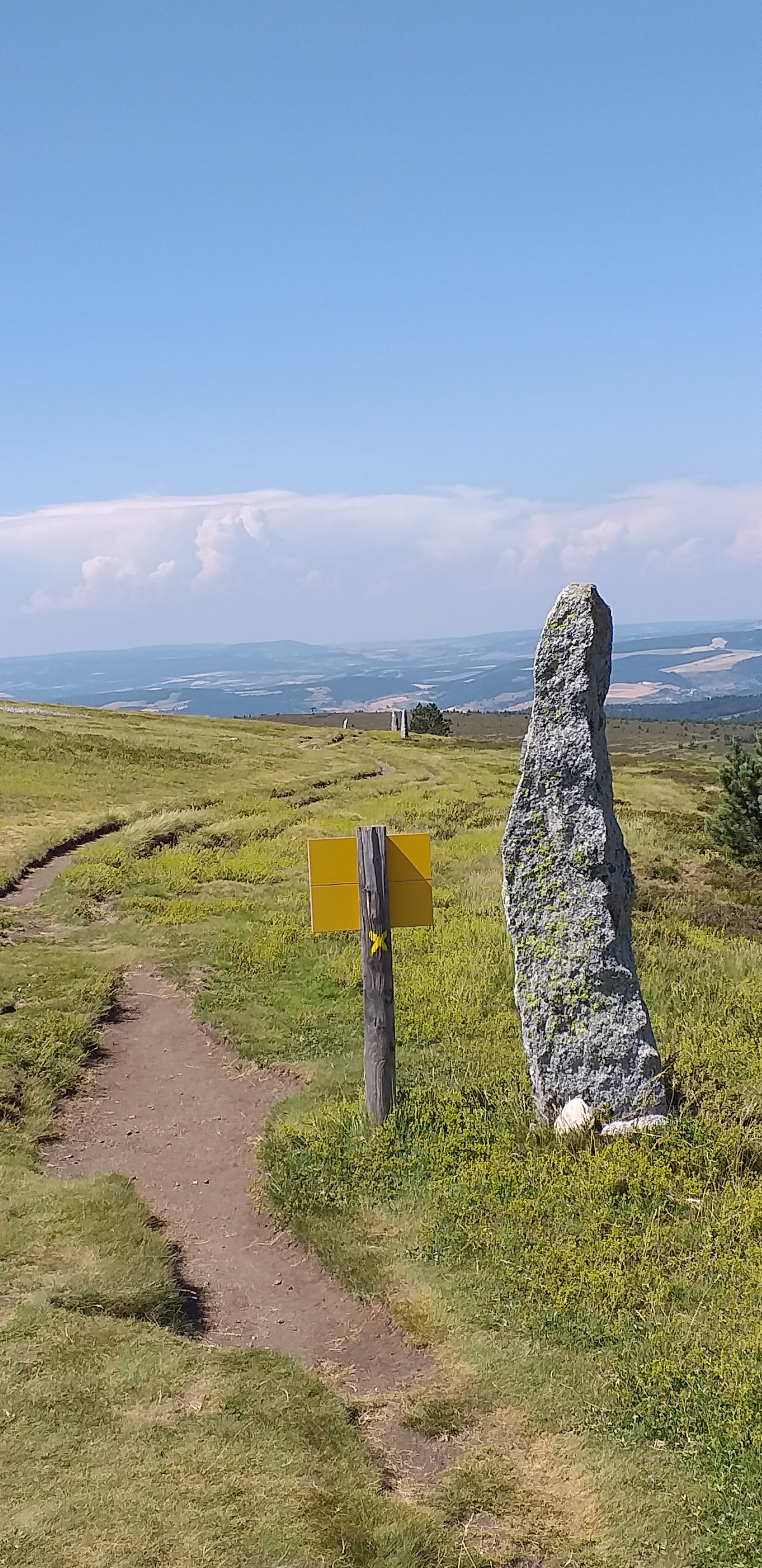 Photo n° 6 de l'avis de Philippe.o fait le 25/07/2019 à 18:15