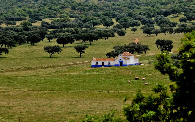 Santo Aleixo da Restauração