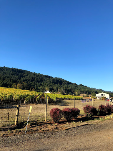 Winery «Cardwell Hill Cellars», reviews and photos, 24241 Cardwell Hill Dr, Philomath, OR 97370, USA