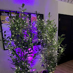 Photo n°2 de l'avis de Christiane.u fait le 27/01/2023 à 11:35 sur le  Partyhaus Condor à Hamburg