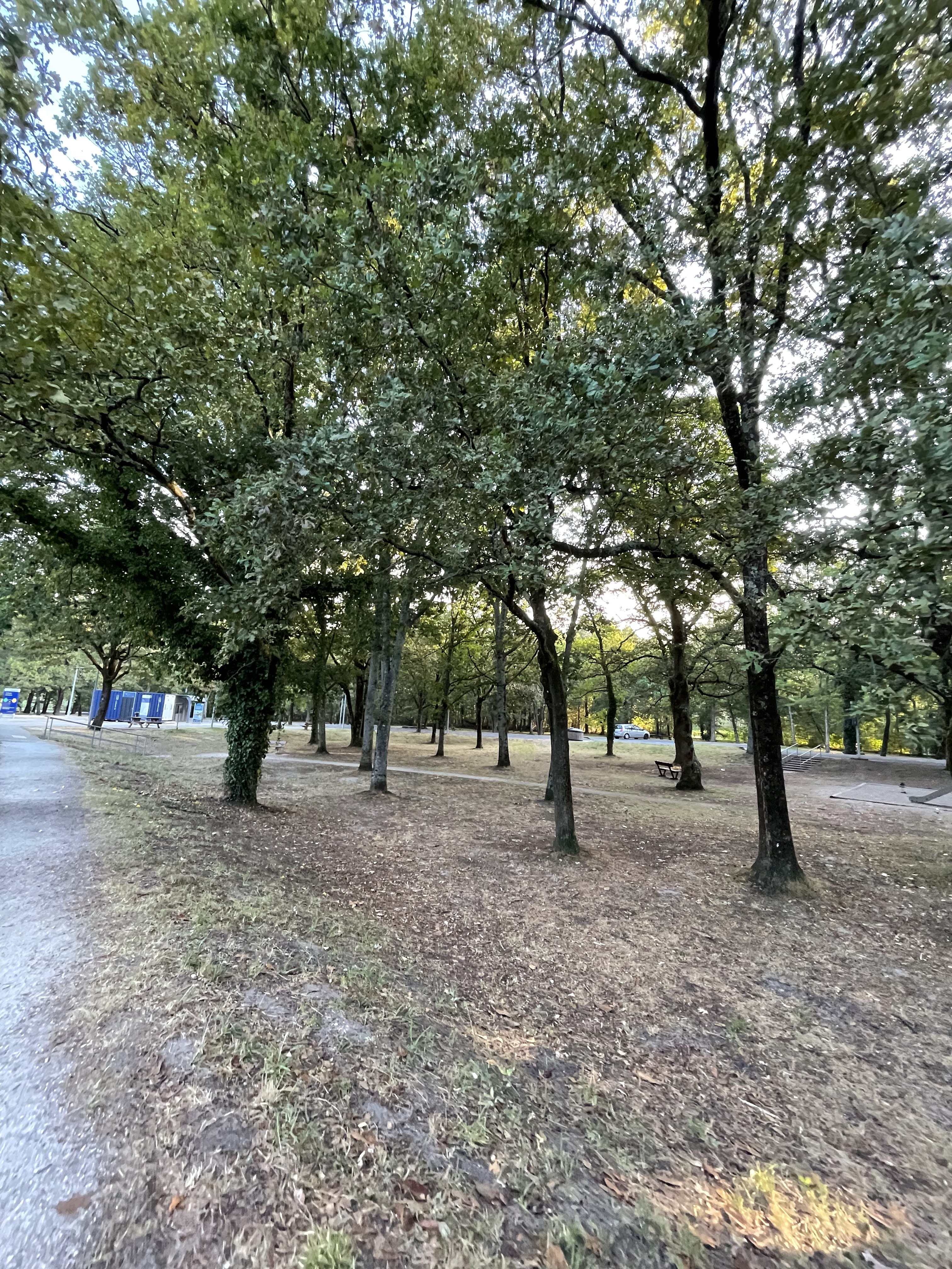Photo n° 4 de l'avis de Amo.A fait le 19/08/2022 à 06:13