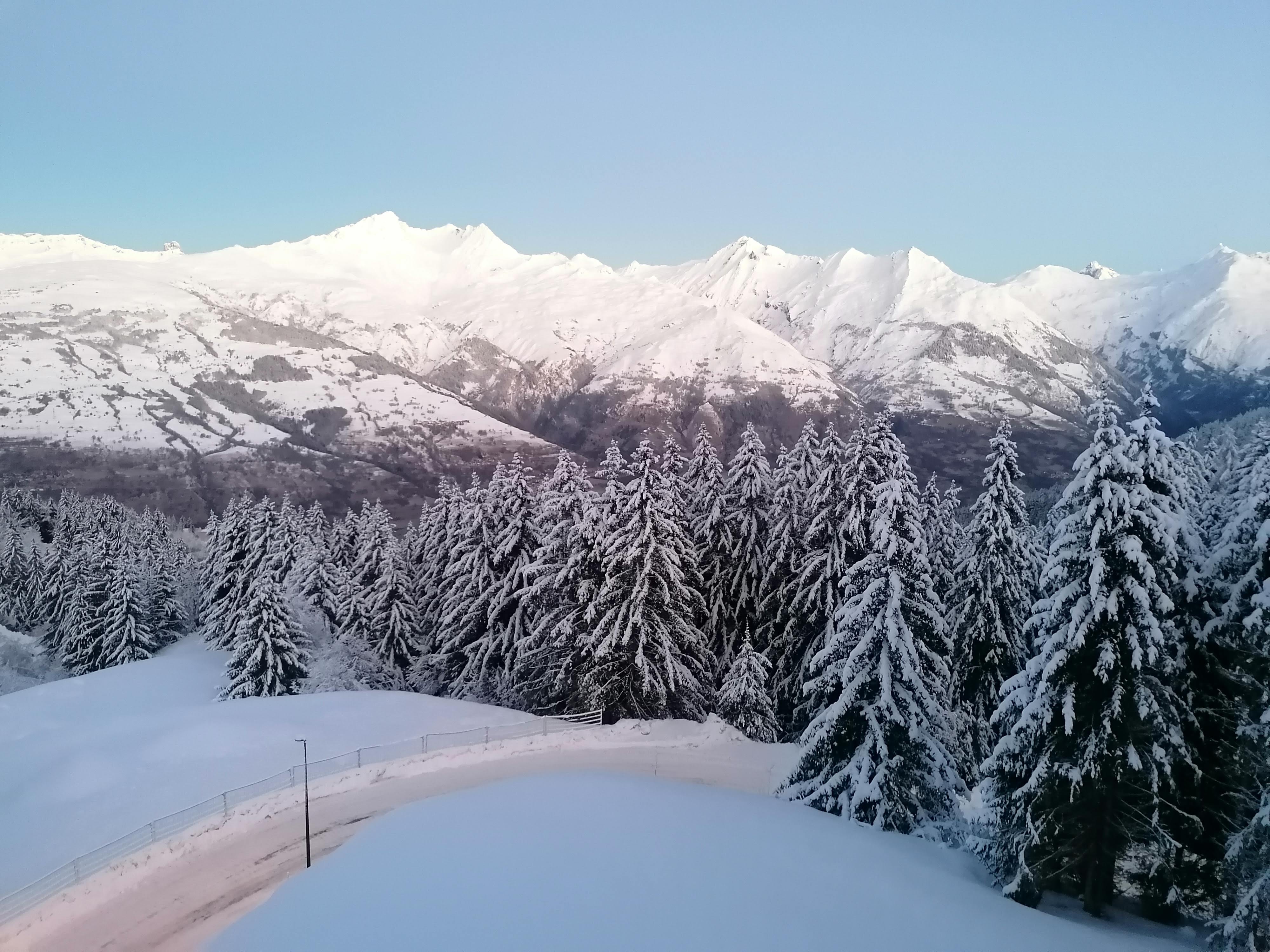 Photo n° 1 de l'avis de denis.o fait le 31/01/2024 à 08:22