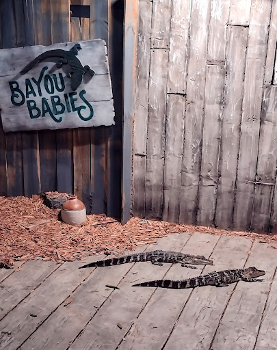 Shopping Mall «Newport on the Levee», reviews and photos, 1 Levee Way, Newport, KY 41071, USA