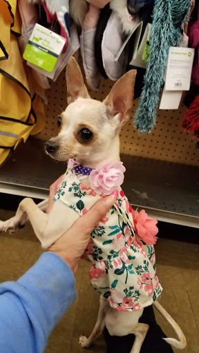 Pet Supply Store «Pet Supplies Plus», reviews and photos, 319 N Berkeley Blvd, Goldsboro, NC 27534, USA