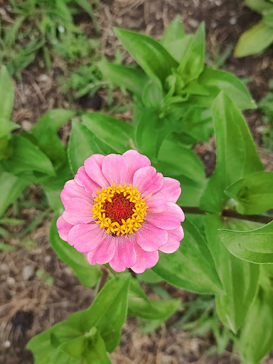 Historical Landmark «Ethan Allen Homestead Museum», reviews and photos, 1 Ethan Allen Homestead, Burlington, VT 05408, USA