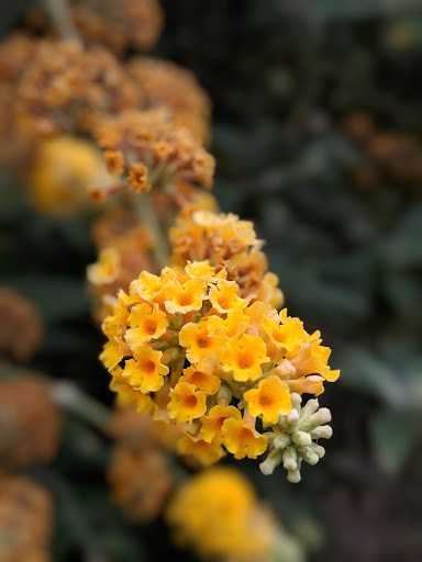 Park «Kirke Park», reviews and photos, 7028 9th Ave NW, Seattle, WA 98117, USA