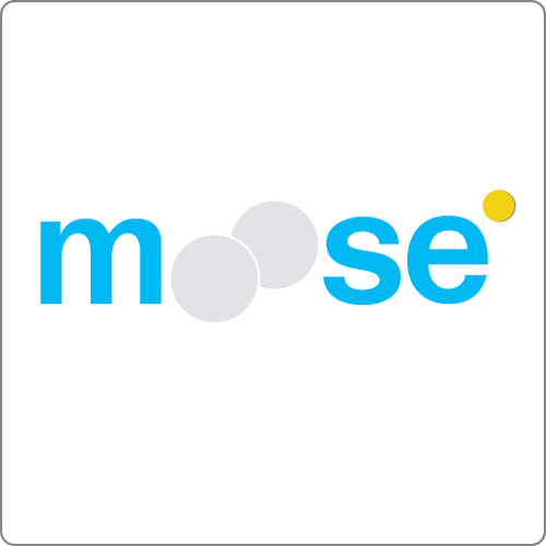 Moose Web Design - Webdesign