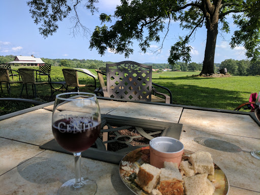 Winery «CeNita Vineyards, Winery & Tasting Room», reviews and photos, 591 Dock Dorsey Rd, Cleveland, GA 30528, USA