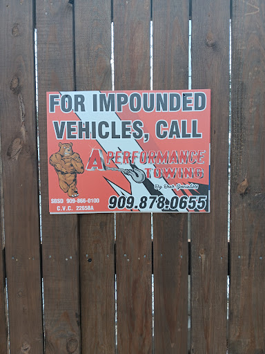 Big Bear Alpine Zoo image