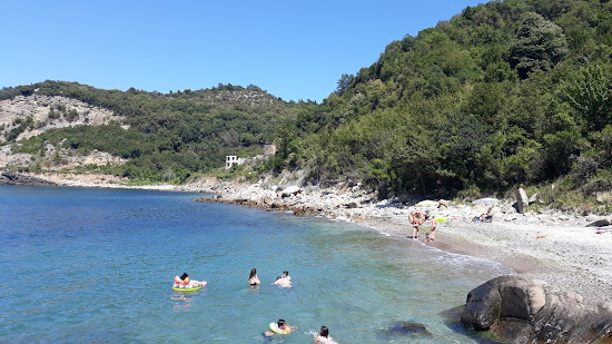 Tarlaagzi Beach