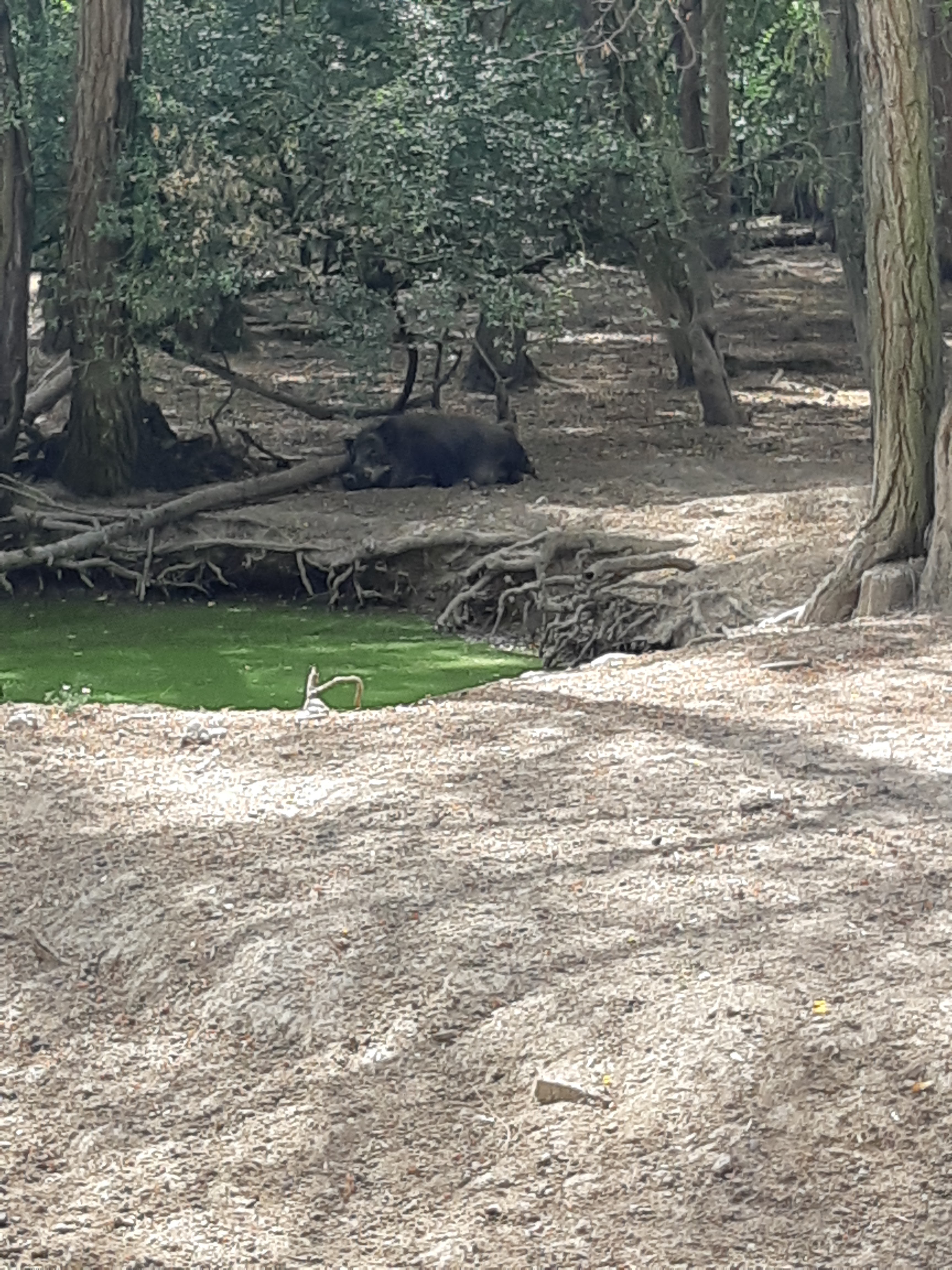 Photo n° 2 de l'avis de Carla.a fait le 10/08/2018 à 15:54
