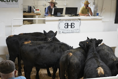 Big Horn Basin Livestock Auction