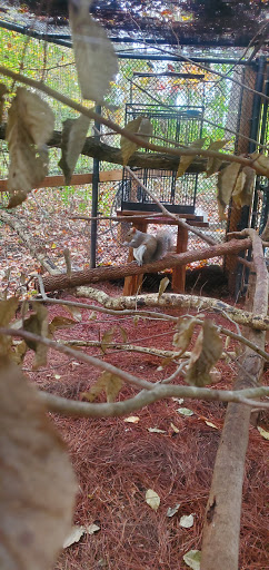 Government Office «Bear Hollow Wildlife Trail», reviews and photos, 293 Gran Ellen Dr, Athens, GA 30606, USA