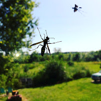 Dirt Cheap Exterminator - Photo 3 - Car repair in , Kansas City