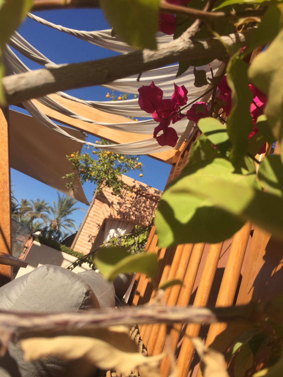 Photo n° 1 de l'avis de Rich.a fait le 09/01/2019 à 16:32