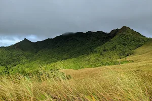 Mt. Batonglusong image