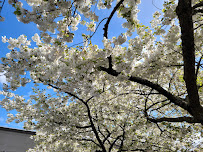 Garden Center at The Home Depot - Photo 4 - Car repair in Portland, OR, Gresham