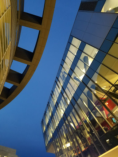 American Football Field «Nippert Stadium», reviews and photos, 2700 Bearcat Way, Cincinnati, OH 45221, USA